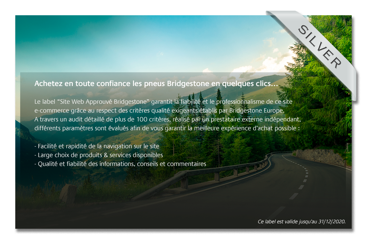 Label Bridgestone silver 2020