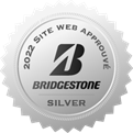 Brigestone silver 2022