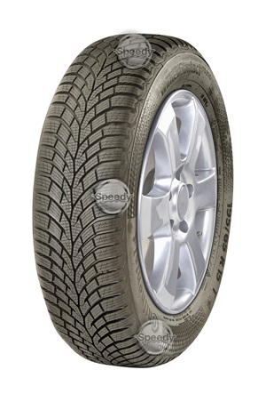 WINTERCONTACT TS 870